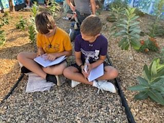 butterfly research