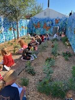butterfly research