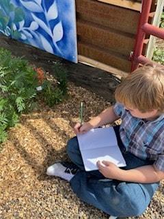 butterfly research