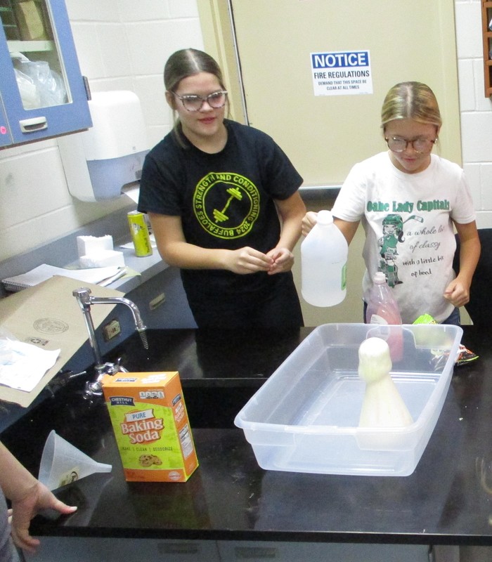 cornelison science projects