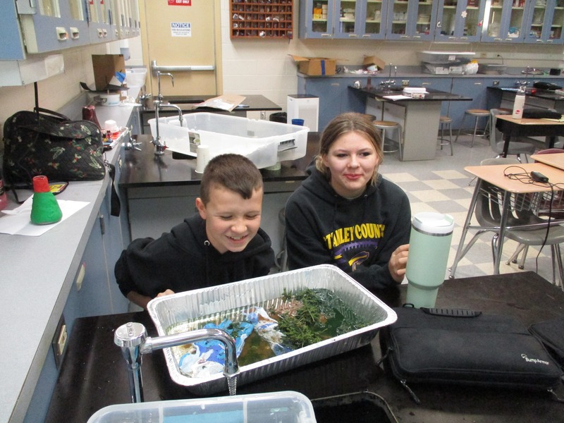 cornelison science projects