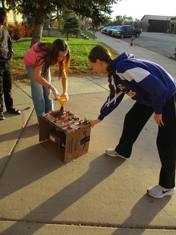 cornelison science projects