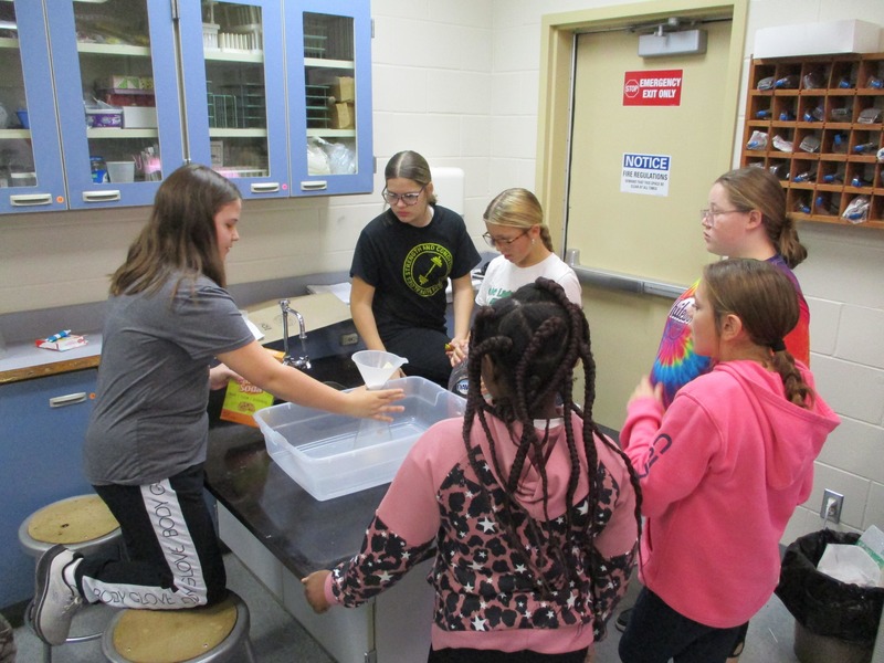 cornelison science projects