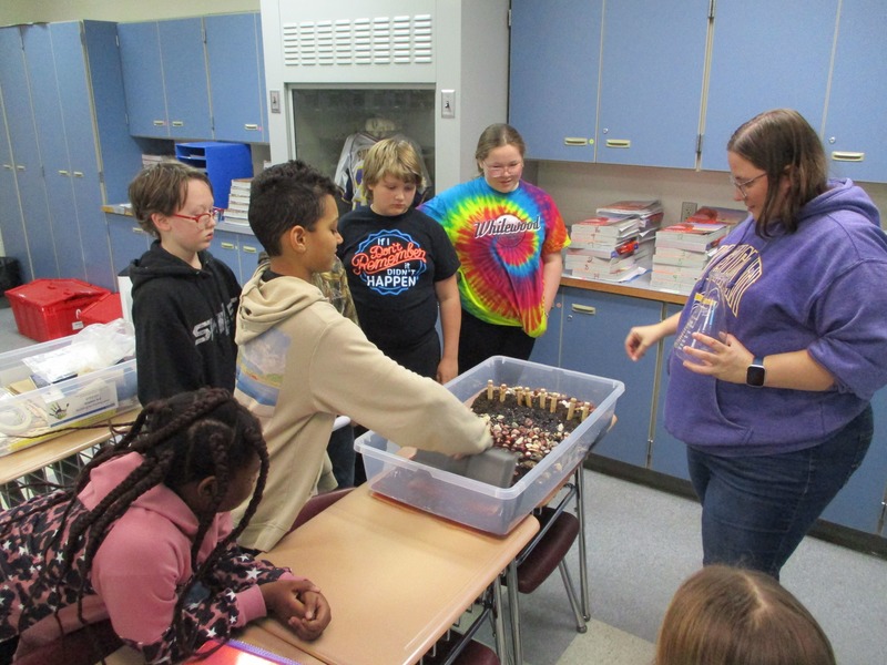 cornelison science projects