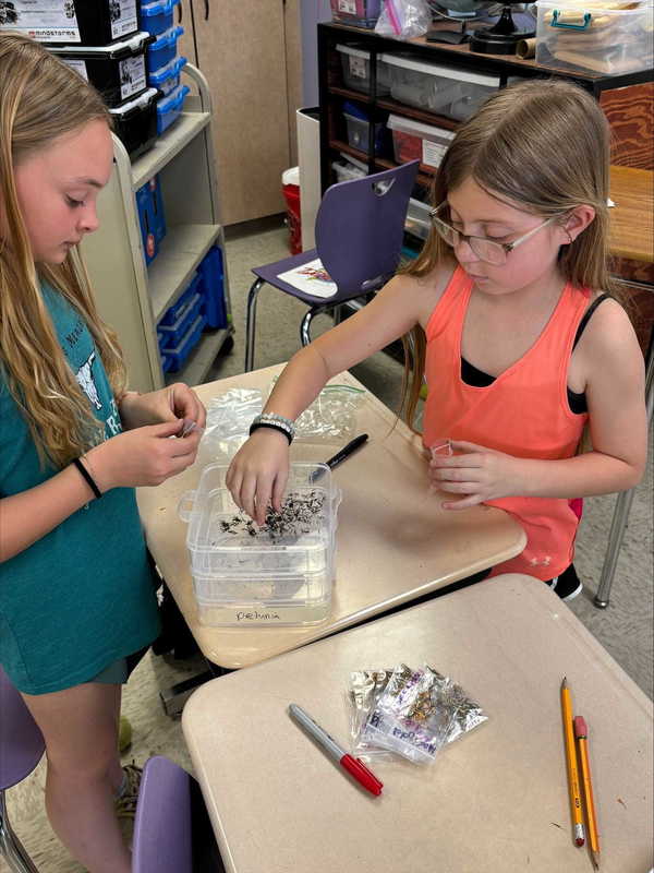 4th and 5th grade earth day