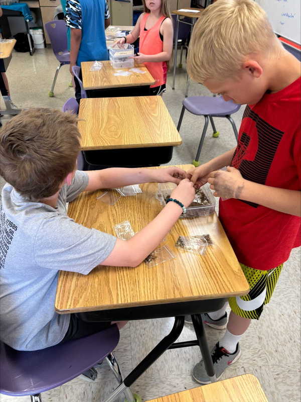 4th and 5th grade earth day