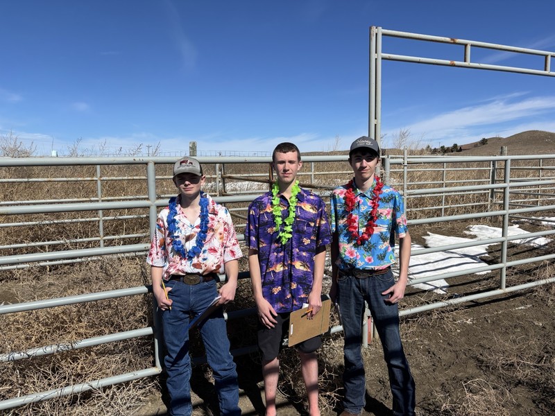 state FFA 