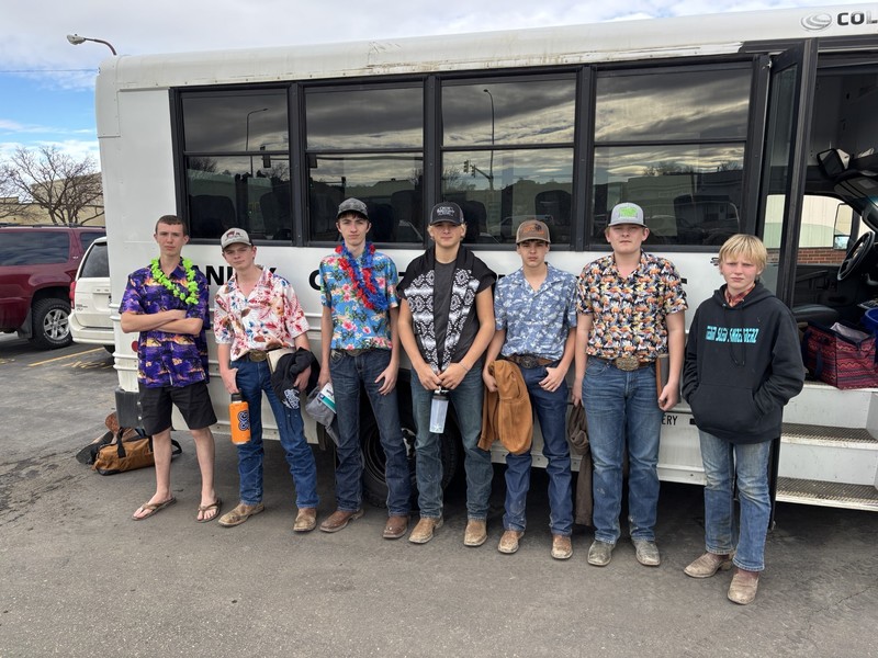 state ffa