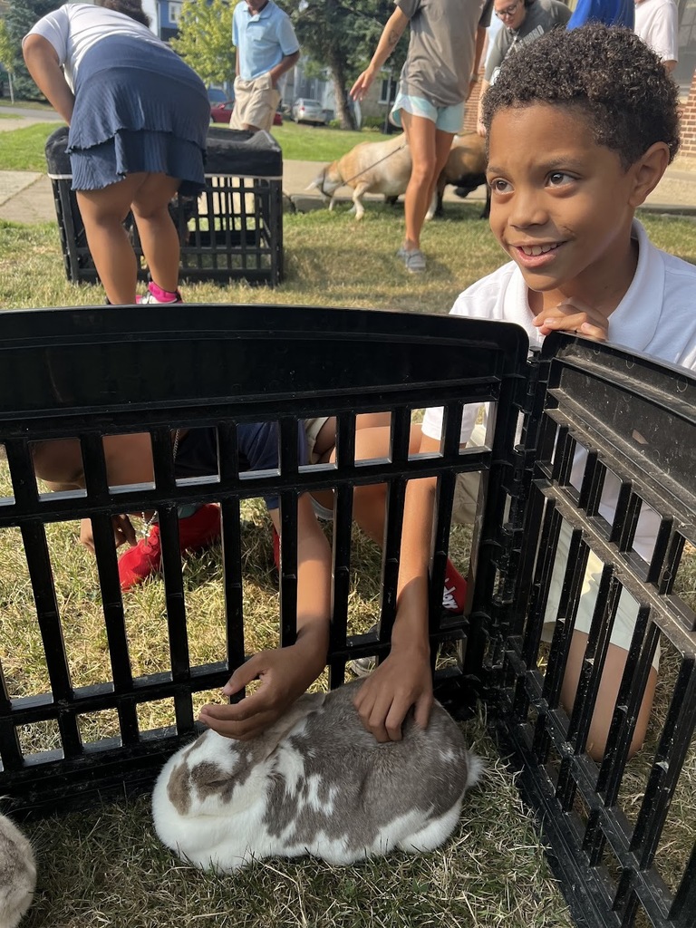 Petting Zoo