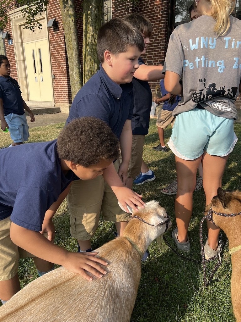 Petting Zoo