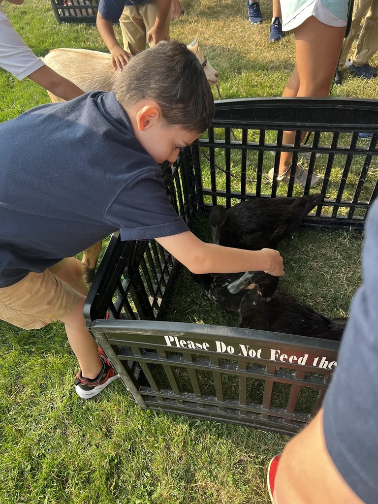 Petting Zoo