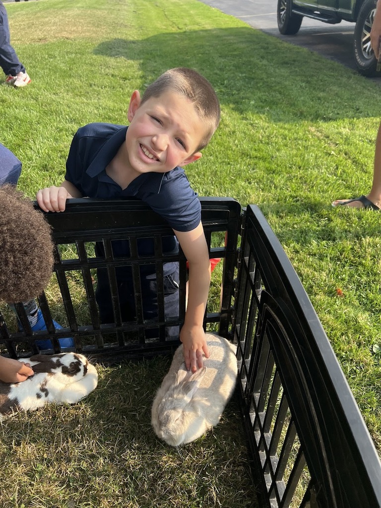 Petting Zoo