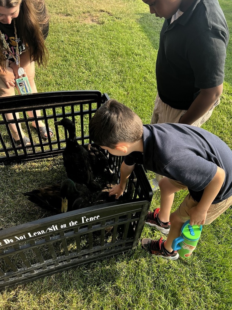 Petting Zoo