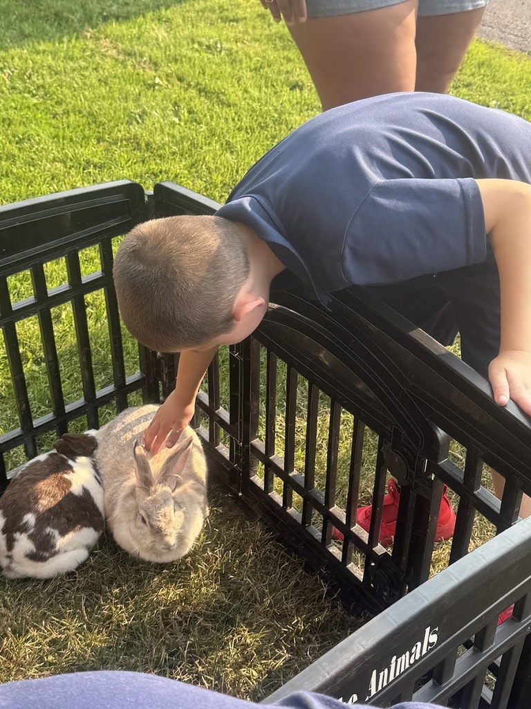 Petting Zoo
