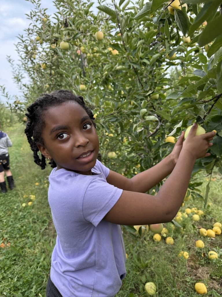 apple picking