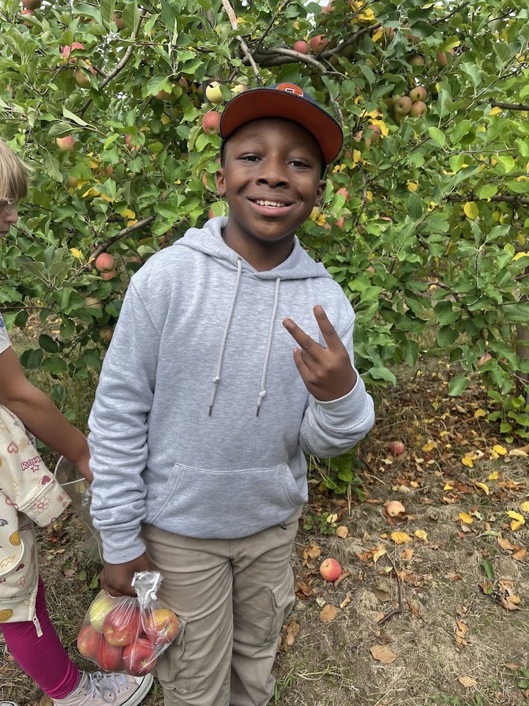 apple picking