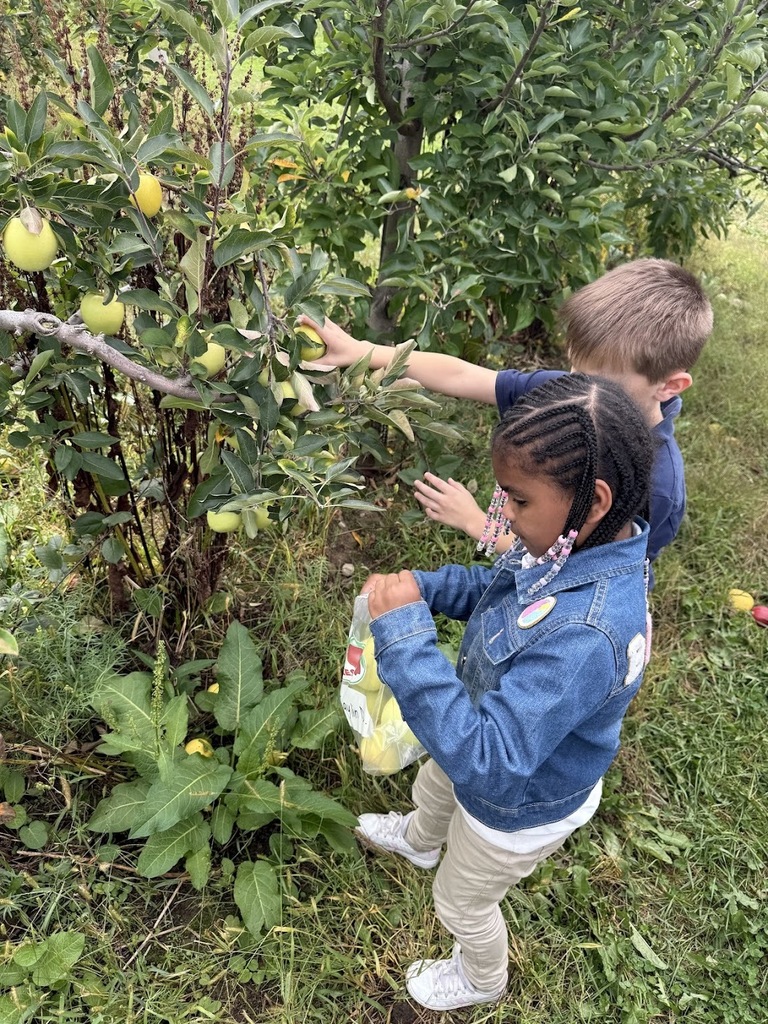 apple picking