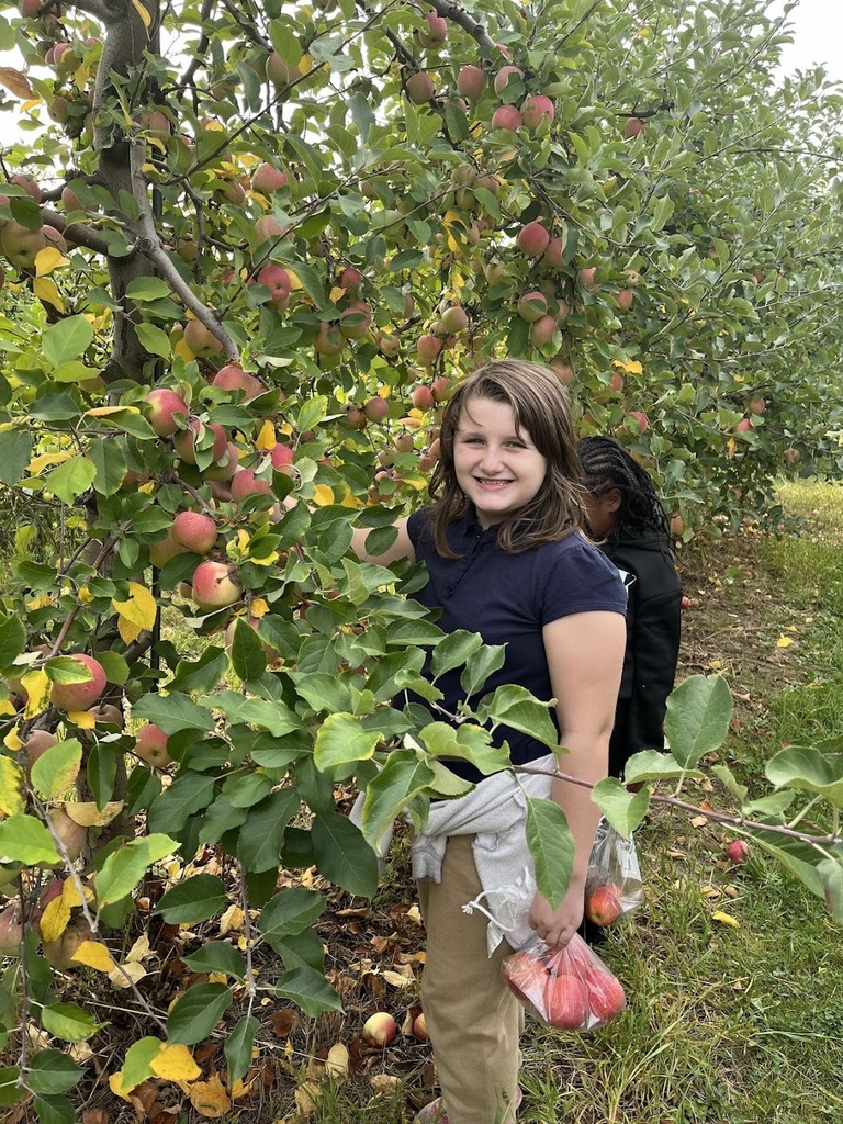 apple picking