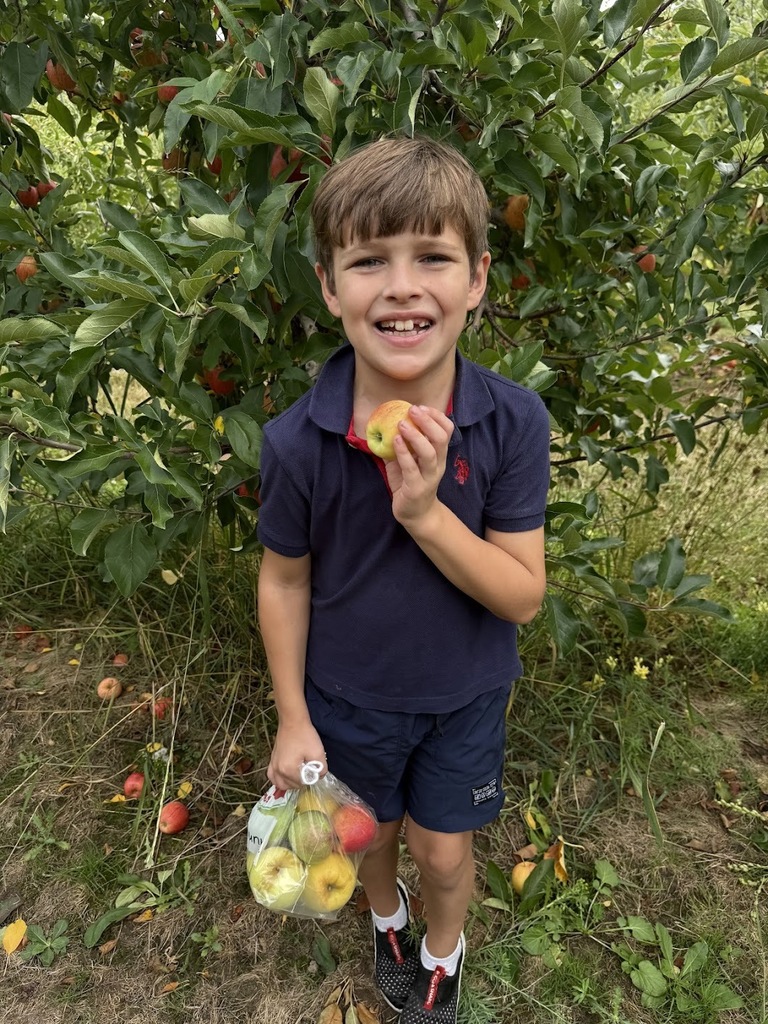 apple picking