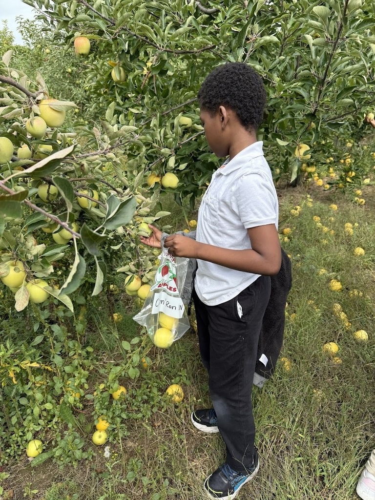 apple picking