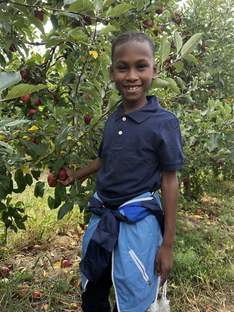 apple picking