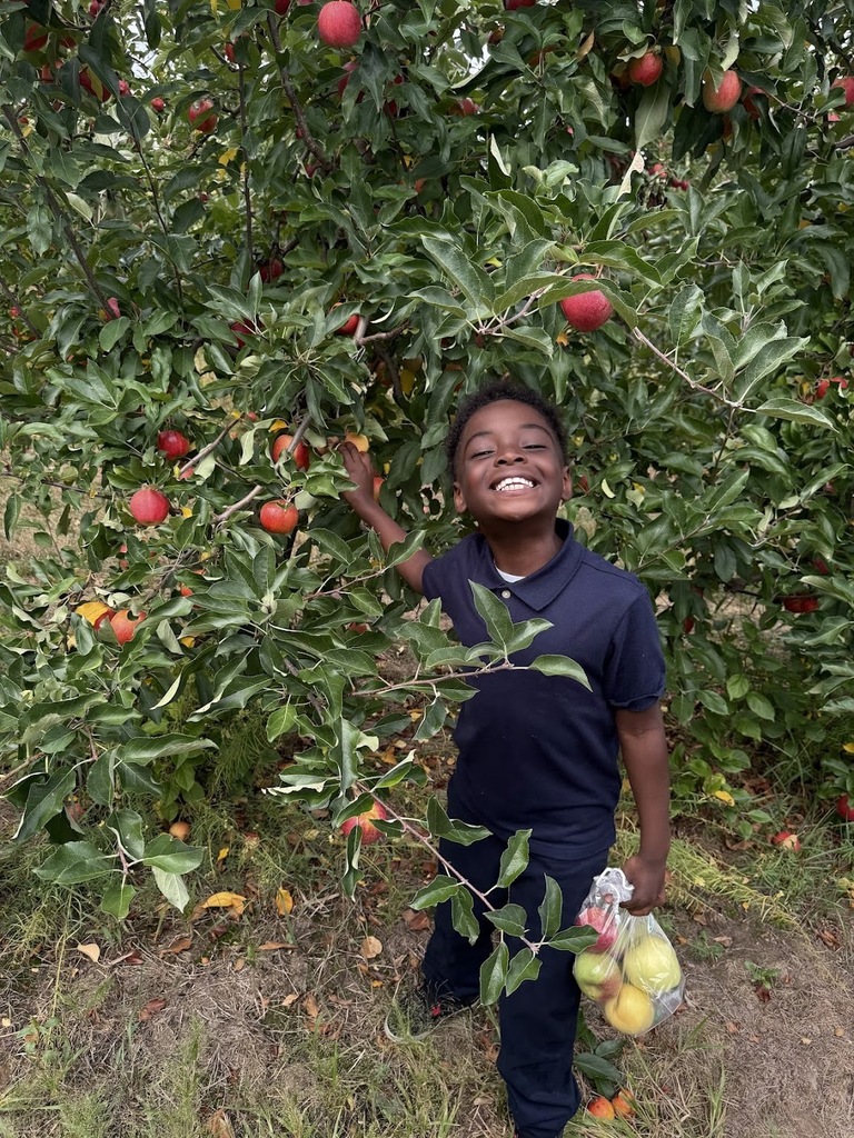 apple picking