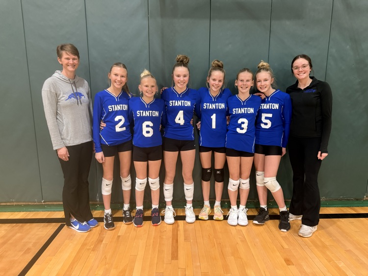 picture of volleyball team.