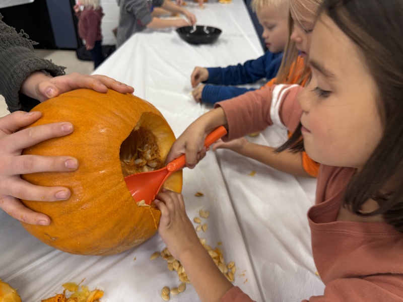 Digging out pumpkins.