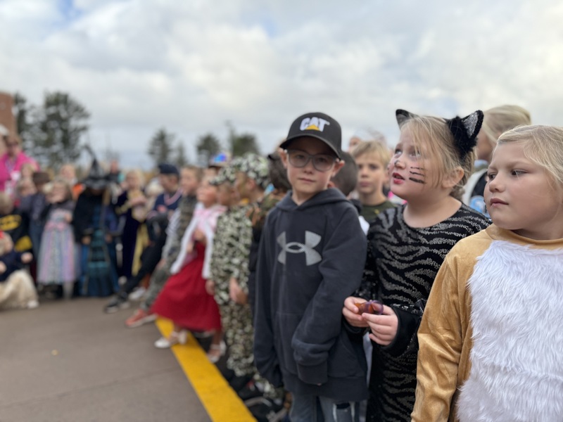 Kids watching pumpkin drop.