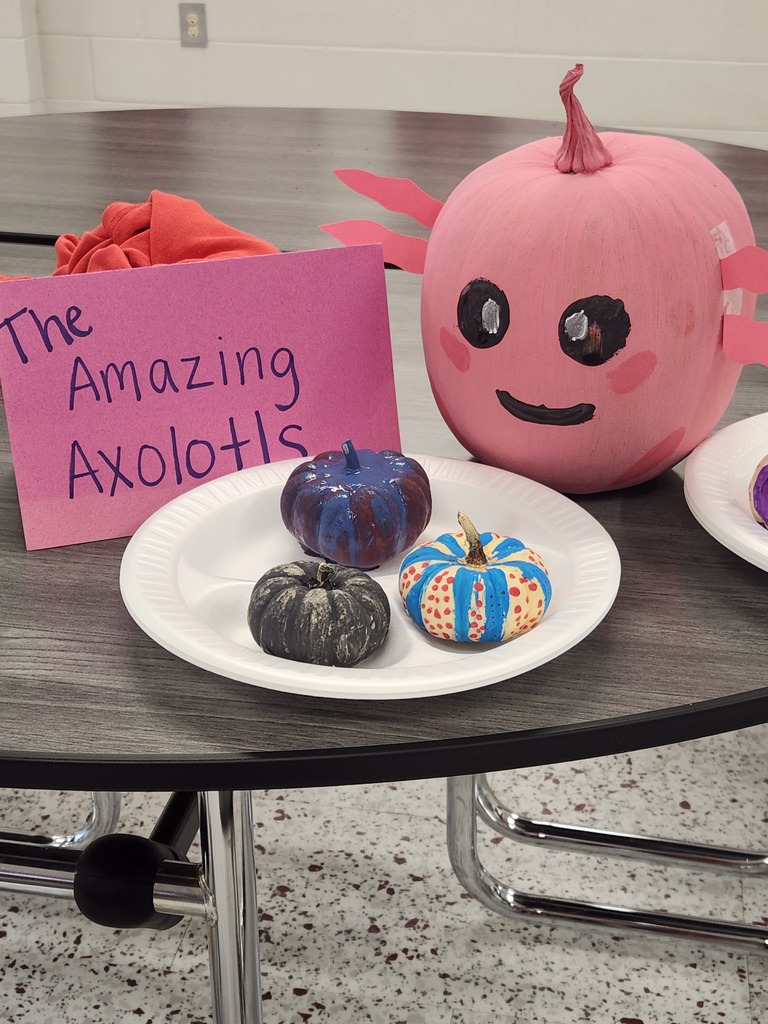 axolotl
