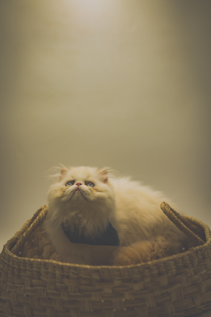 ricardo caballero's picture for arts across arkansas 2026