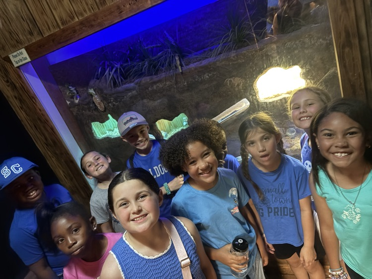zoo