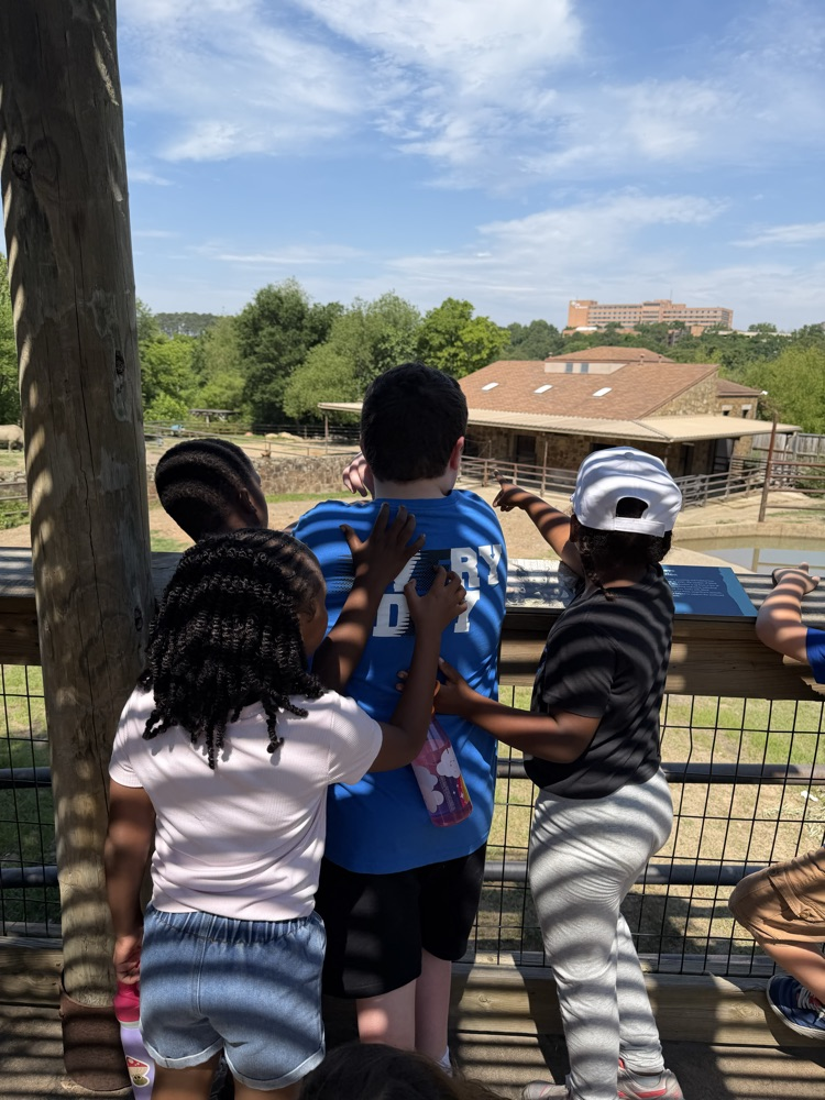 zoo