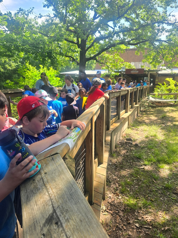 zoo