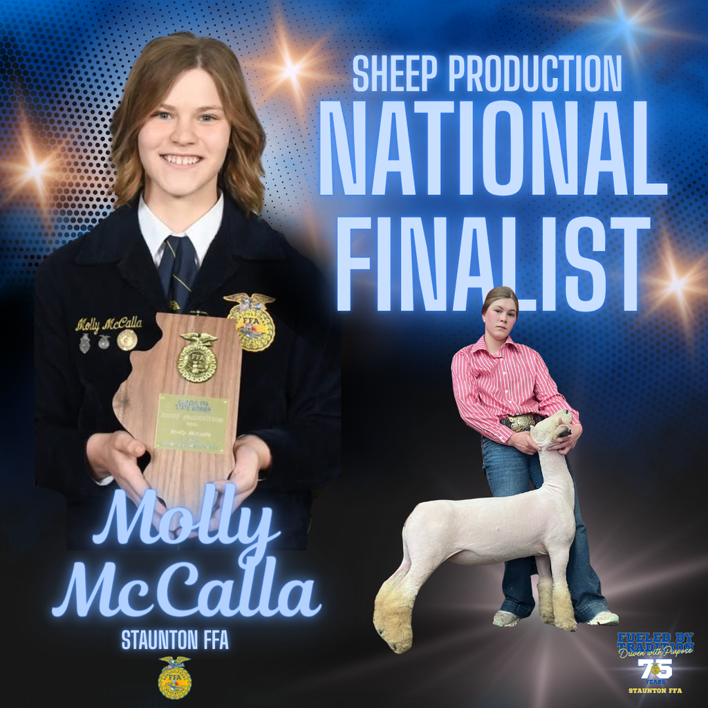 national finalist