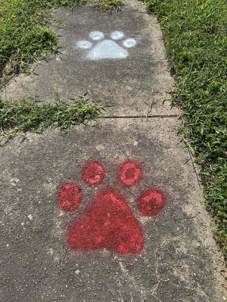 Paw Print