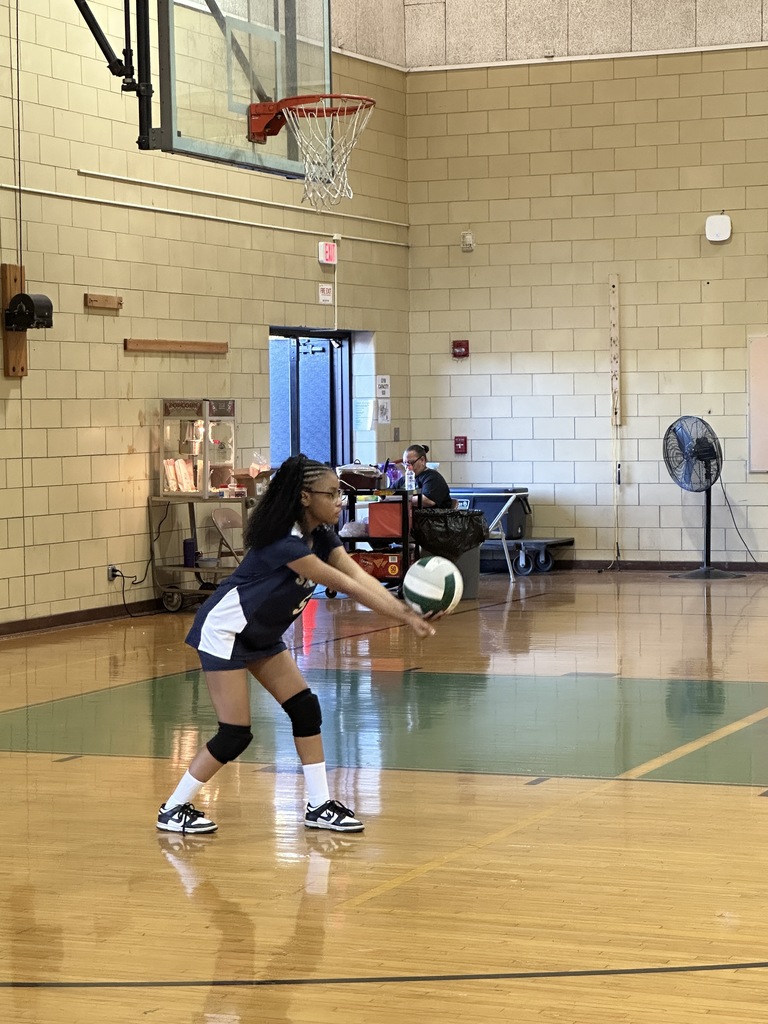 Volleyball
