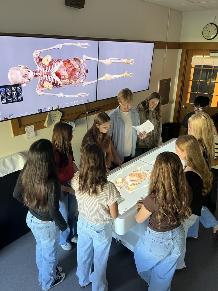 anatomage