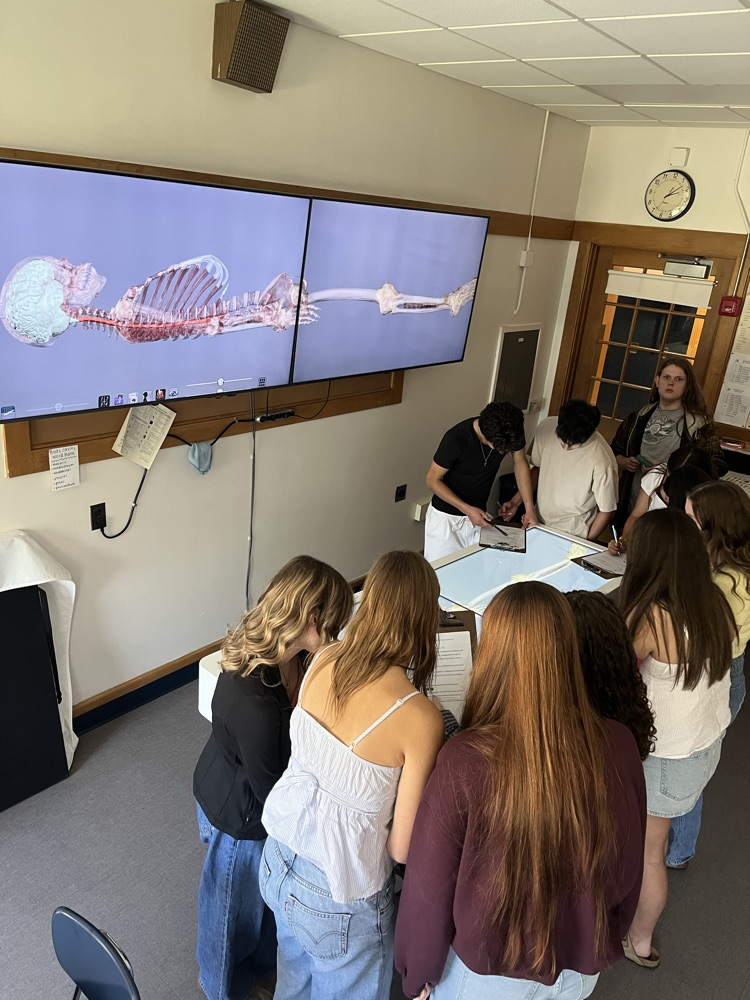 anatomage