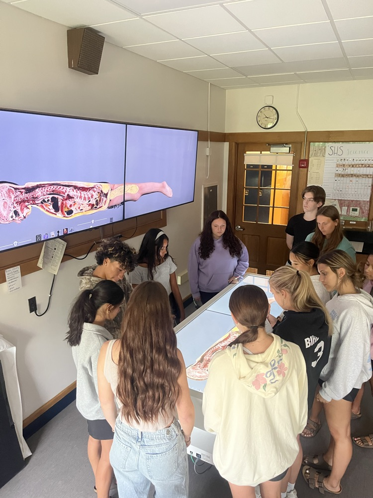 anatomage
