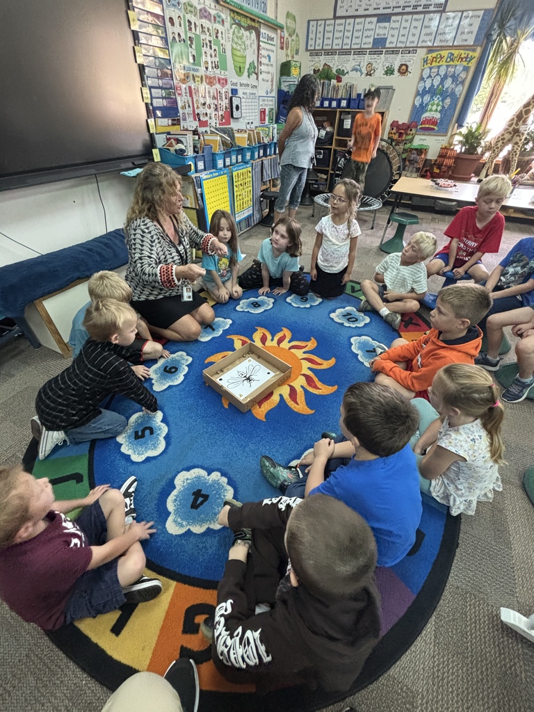 Direct instruction on how to "marble paint" - 1L