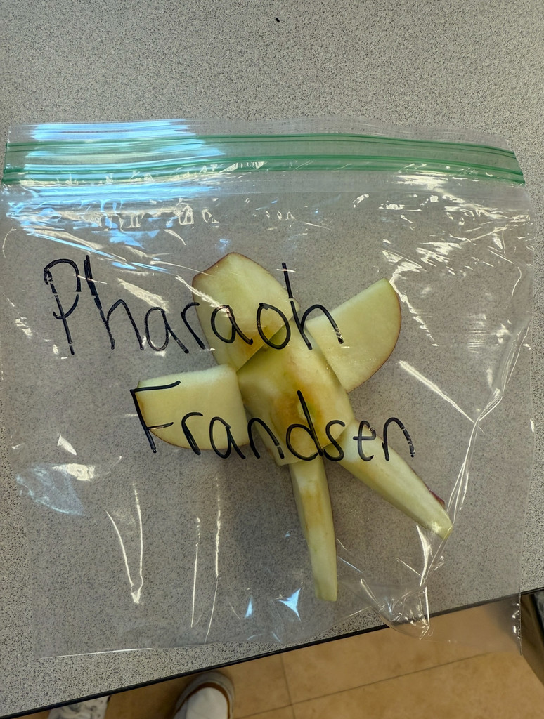 Mrs. Frandsen's 6th Graders