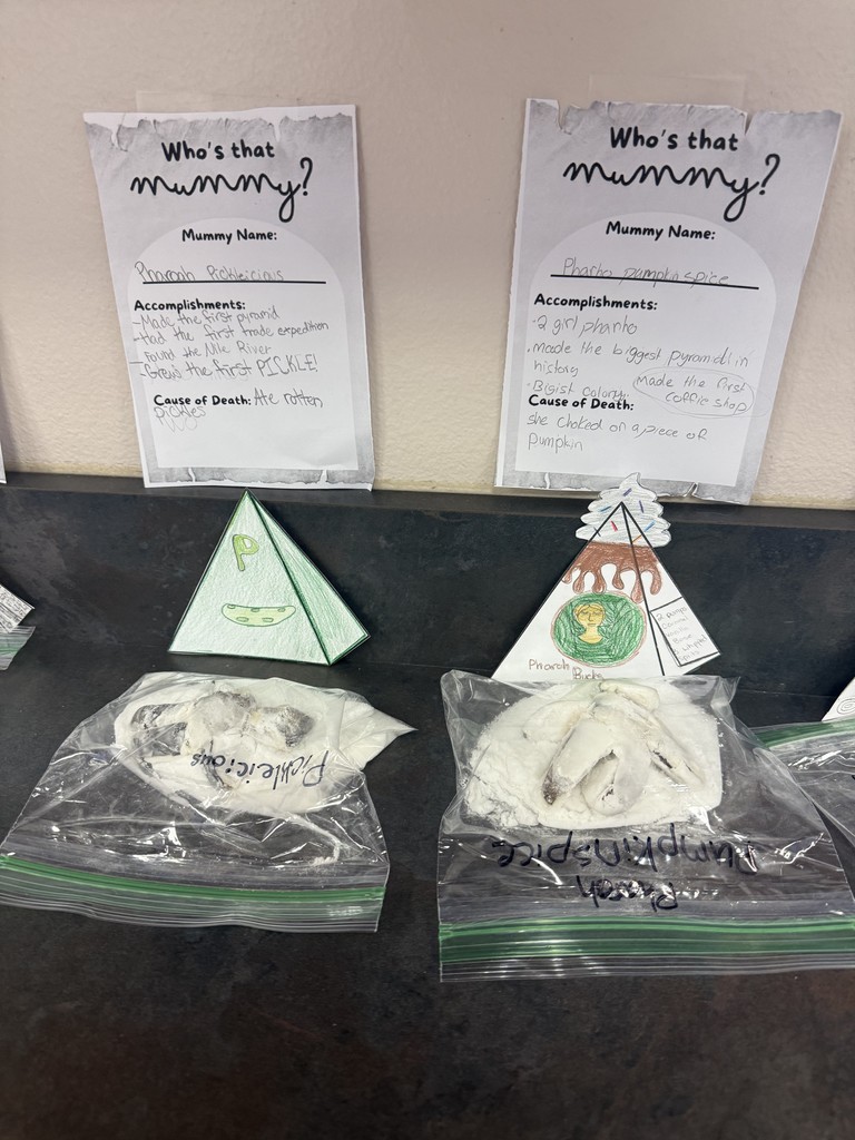 Mrs. Frandsen's 6th Graders