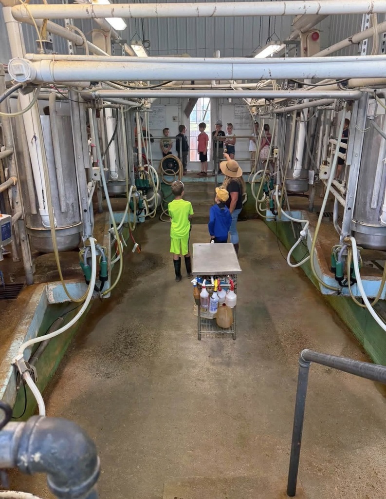 Dairy Farm