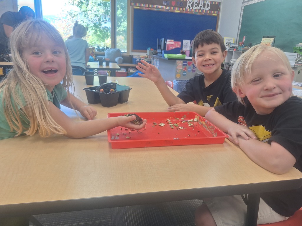 Ms. Velancia's Classroom