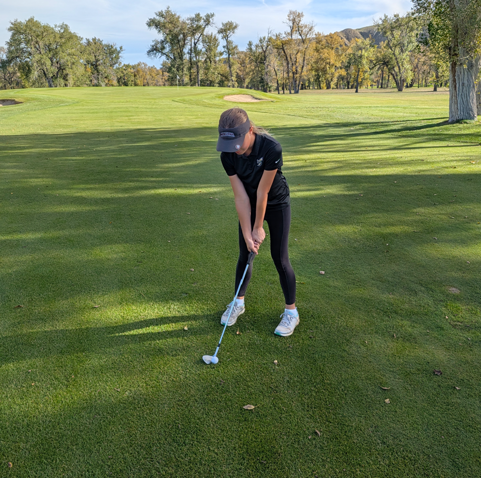 State Golf