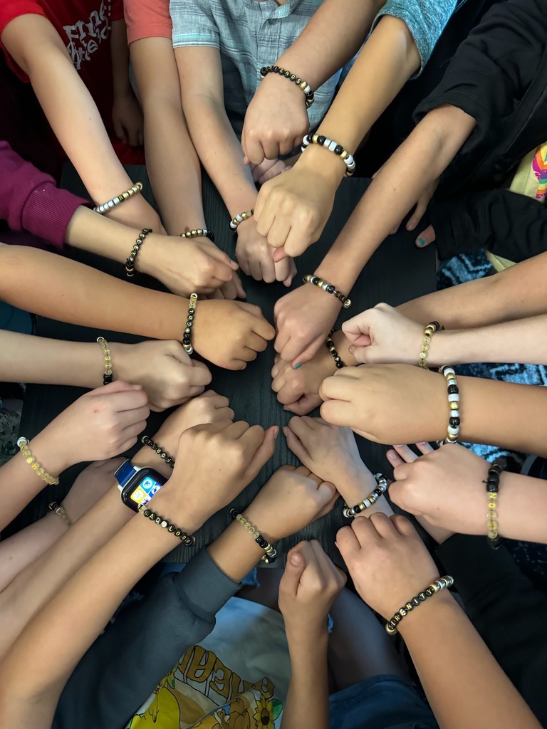 Friendship Bracelets