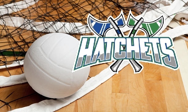 Volleyball Camp