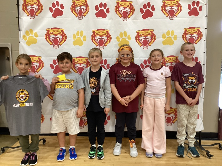 3rd