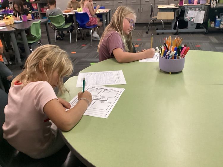 Mrs buttons class working hard